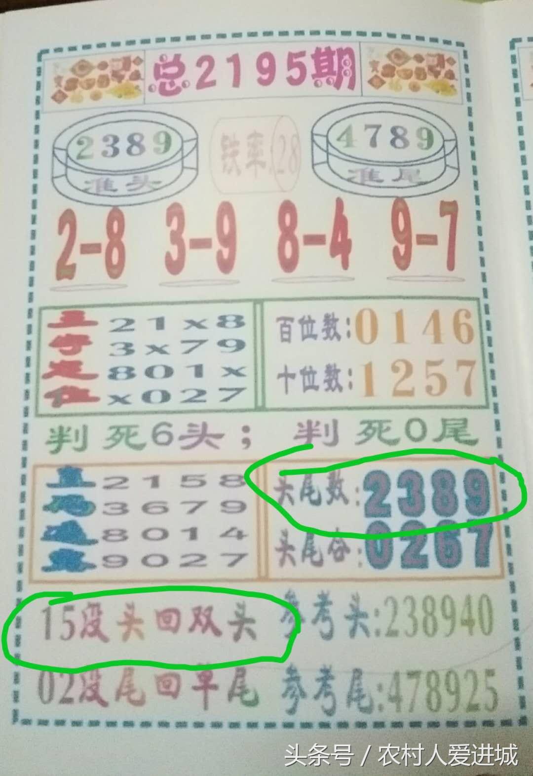 新澳门十码中特期期准,警惕虚假宣传-全面释义、解释与落实、专家解答解释落实