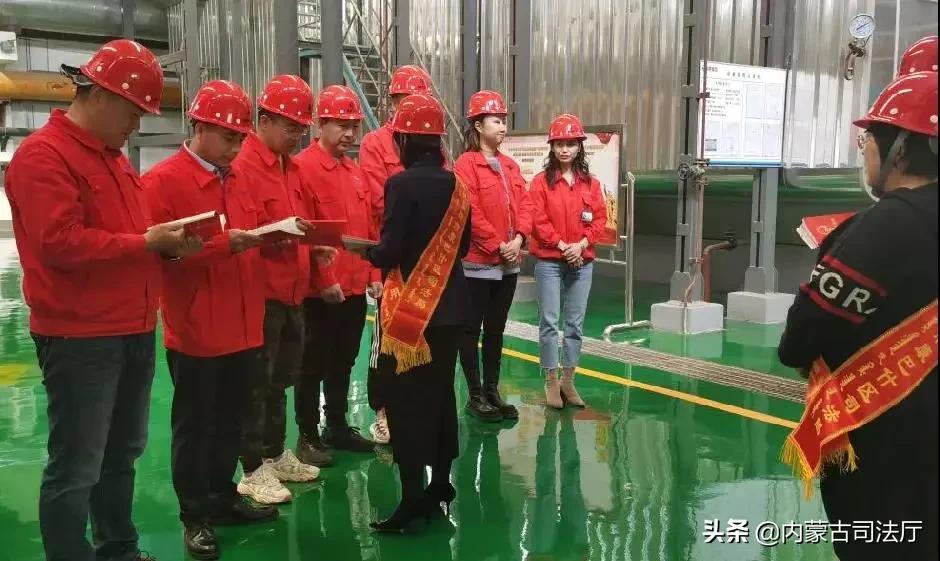 三肖必中特三肖必中全面释义、科学解答解释落实