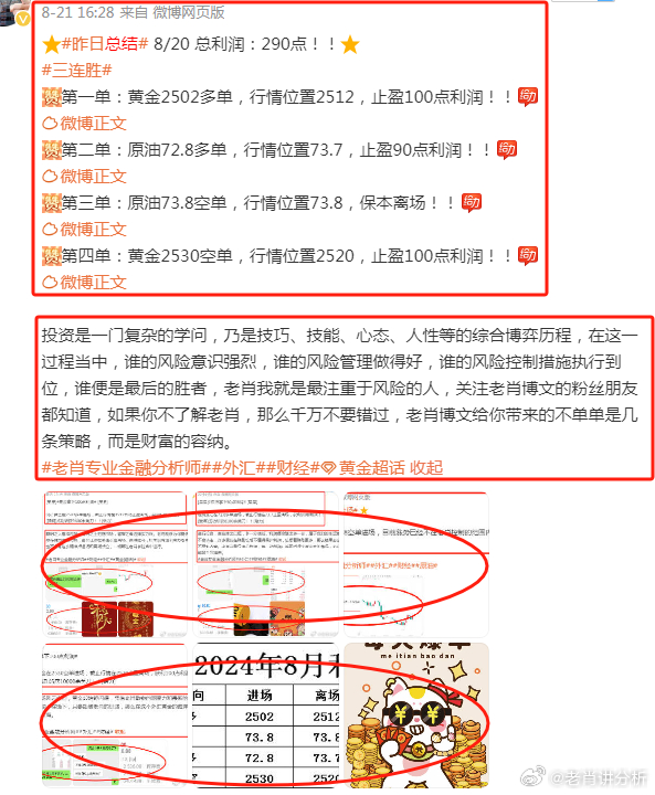 澳门管家100仔细释义、解释与落实、详细解答解释落实