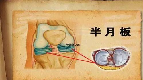 7777788888精准传真112，详细解答、统计解答解释落实