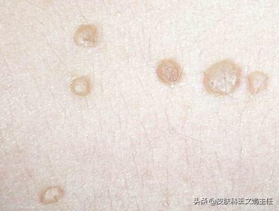 新澳门王中王期期中，详细解答、前沿解答解释落实