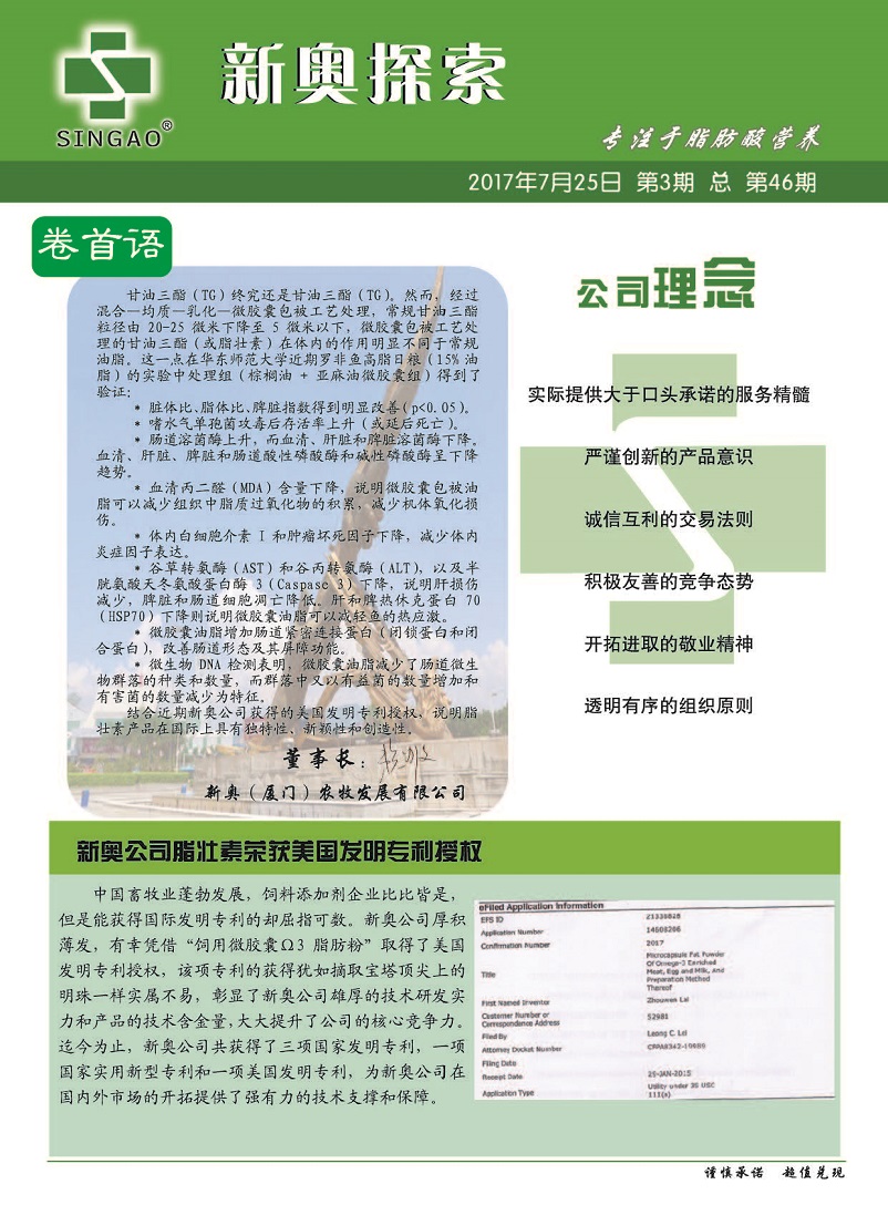 新澳2025年正版资料,警惕虚假宣传,全面解答解释落实