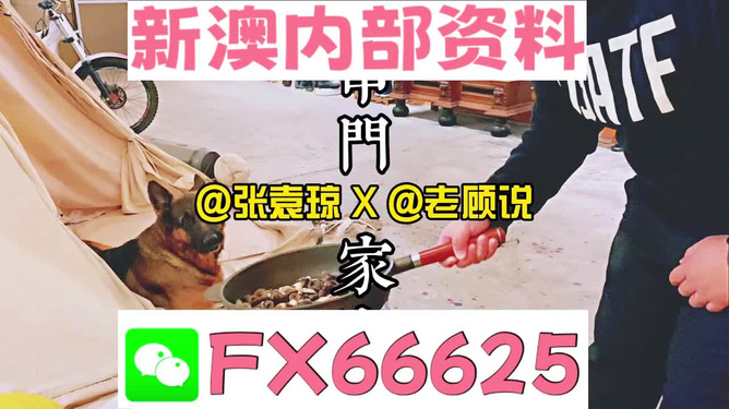澳门管家婆百分百精准,警惕虚假宣传,综合解答解释落实