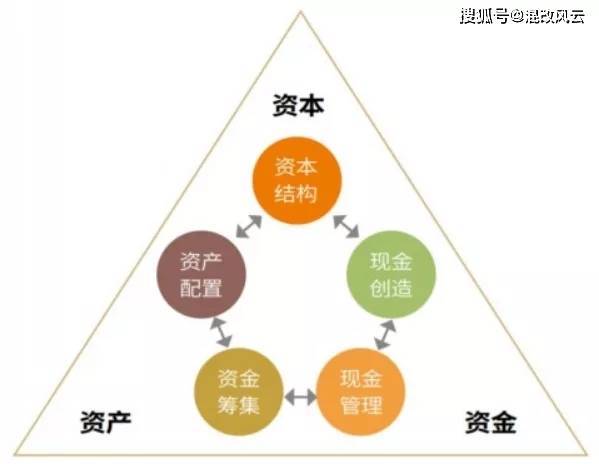 新澳天天开奖资料大全最新版，详细解答、构建解答解释落实