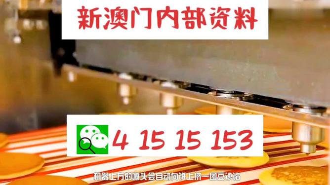 新澳门王中王100%期期中大全,警惕虚假宣传,详细解答解释落实