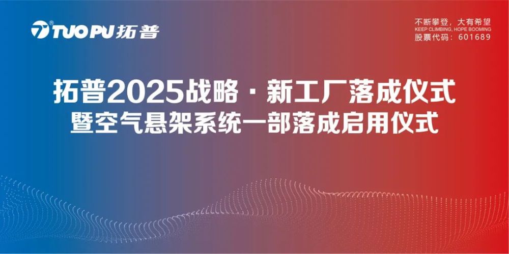 2025新澳雷锋资料精选解析、解释与落实、全面解答解释落实